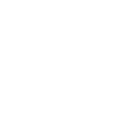KTM Logo